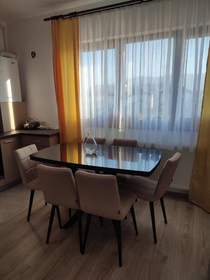 Marina'S House Apartment Ghimbav Exterior photo