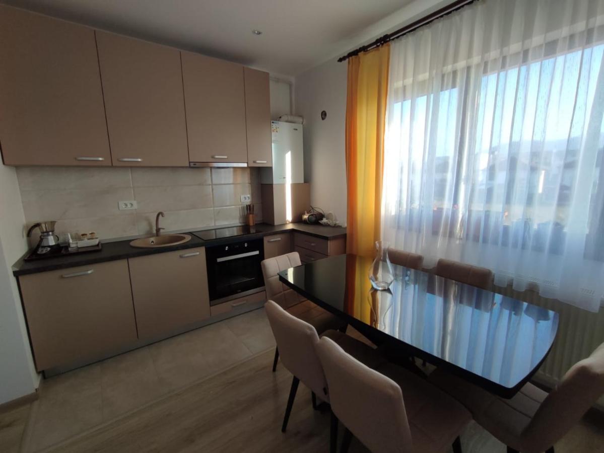 Marina'S House Apartment Ghimbav Exterior photo