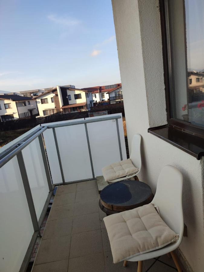 Marina'S House Apartment Ghimbav Exterior photo