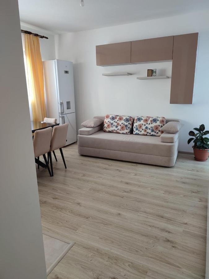 Marina'S House Apartment Ghimbav Exterior photo
