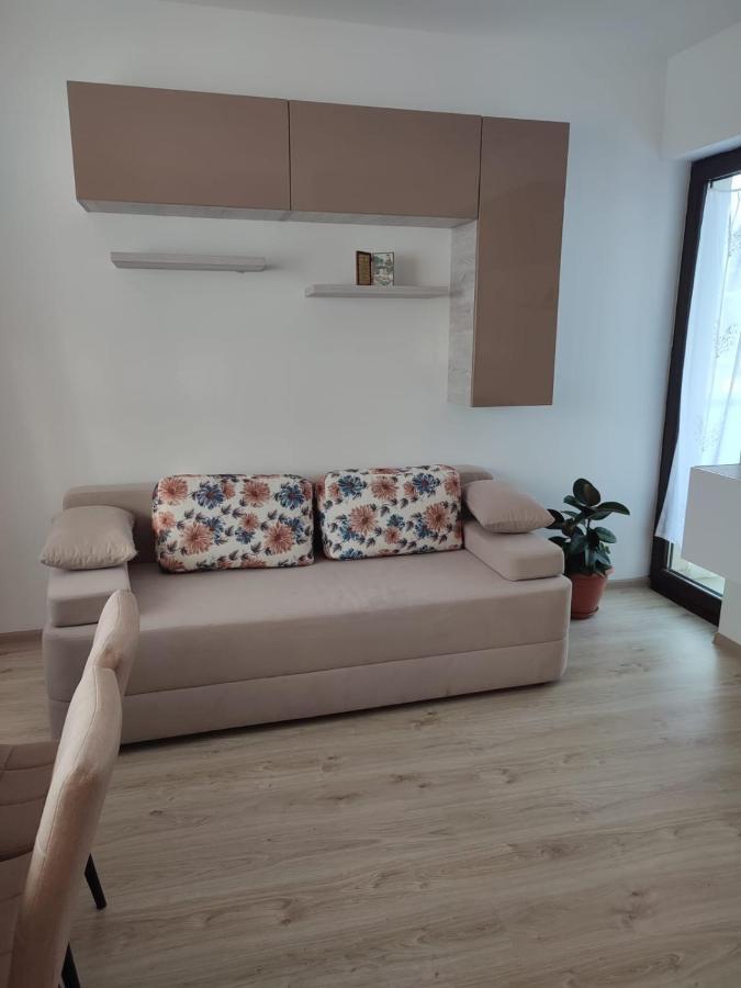 Marina'S House Apartment Ghimbav Exterior photo